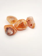 Carneool trommelsteen 2 tot 3 cm