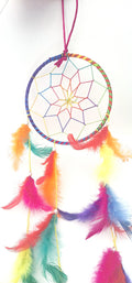 Dromenvanger regenboog veren 12 cm