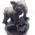 Waterval wierookbrander olifant