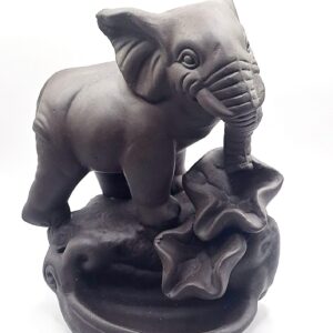 Waterval wierookbrander olifant