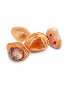 Carneool trommelsteen 2 tot 3 cm